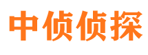 新河市私家侦探